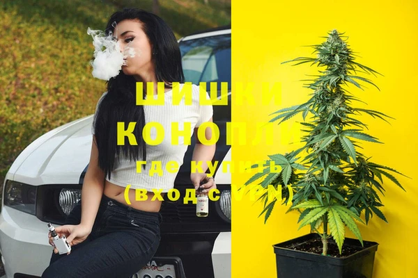 стаф Новодвинск