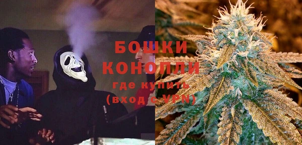 сатива Новокубанск