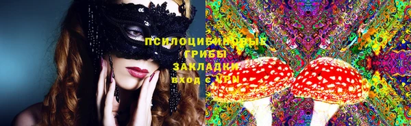 мдпв Нея