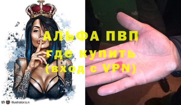 стаф Новодвинск