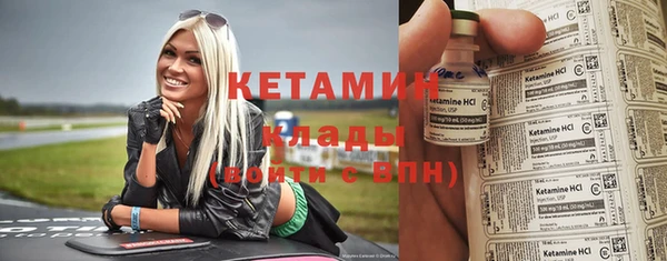 стаф Новодвинск