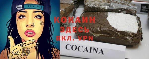 стаф Новодвинск